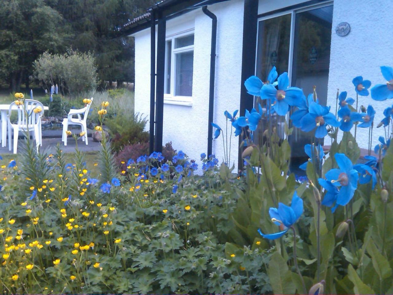 Dalkell Cottages Tyndrum Exteriér fotografie
